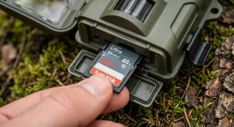 SD-Karte Wildkamera